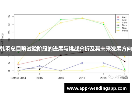 韩羽总目前试验阶段的进展与挑战分析及其未来发展方向