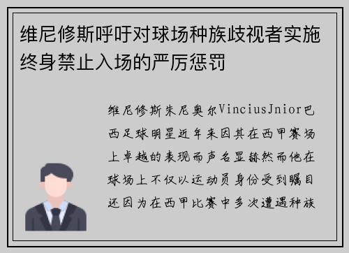 维尼修斯呼吁对球场种族歧视者实施终身禁止入场的严厉惩罚