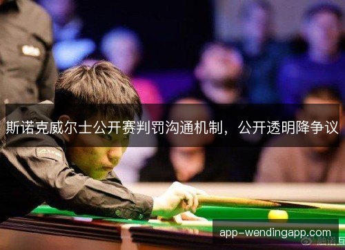 斯诺克威尔士公开赛判罚沟通机制，公开透明降争议