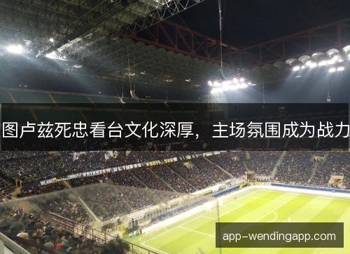 图卢兹死忠看台文化深厚，主场氛围成为战力
